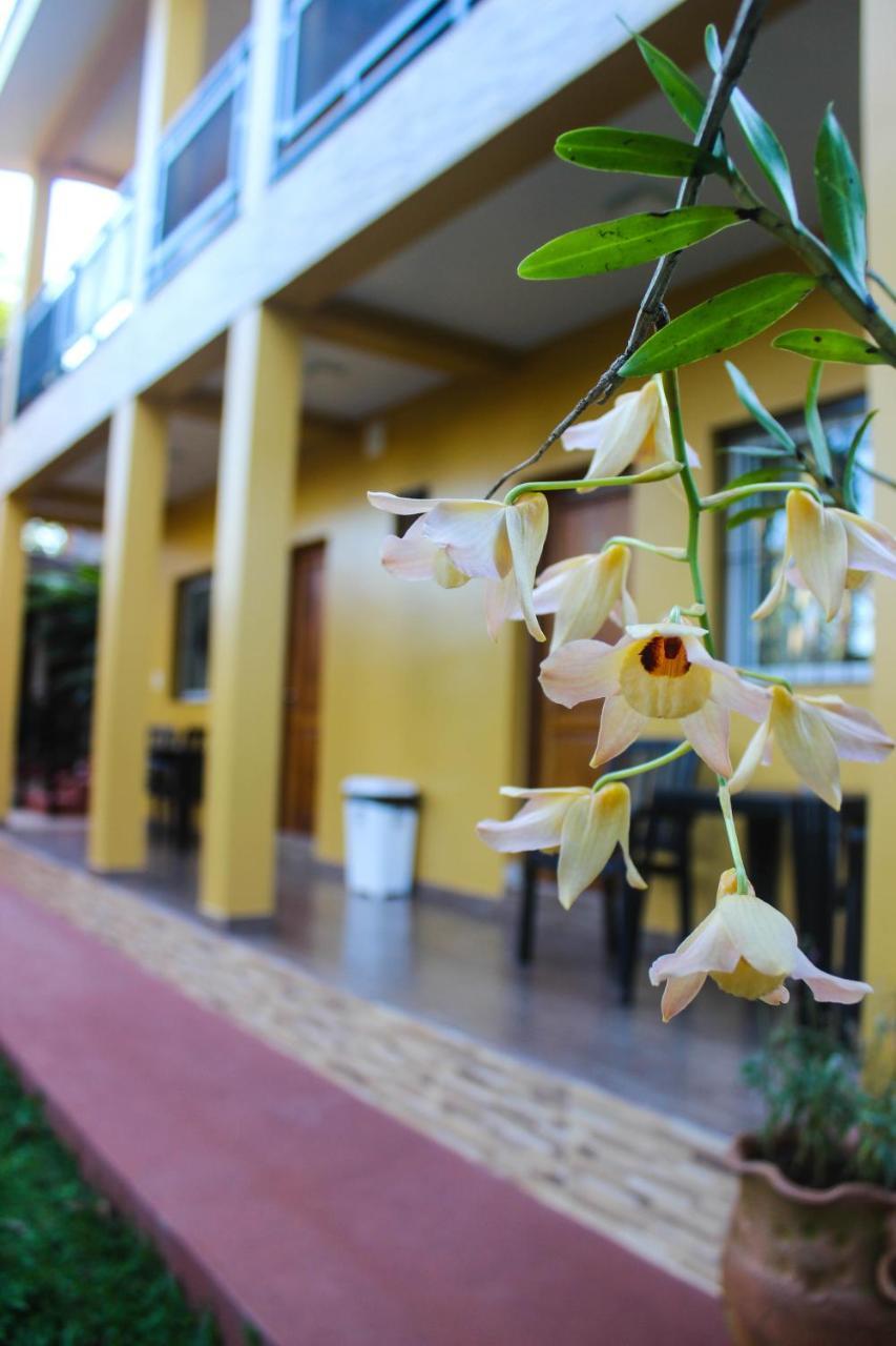 Hospedaje Jose Gorgues Puerto Iguazu Exterior photo